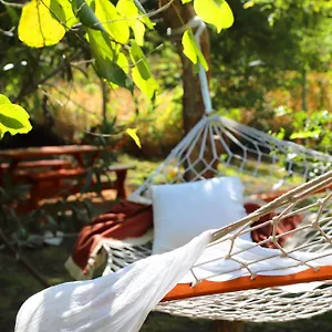 https://sigiri-nature-side-villa.kandyhotelsnow.com